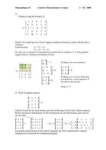 Solució control determinants