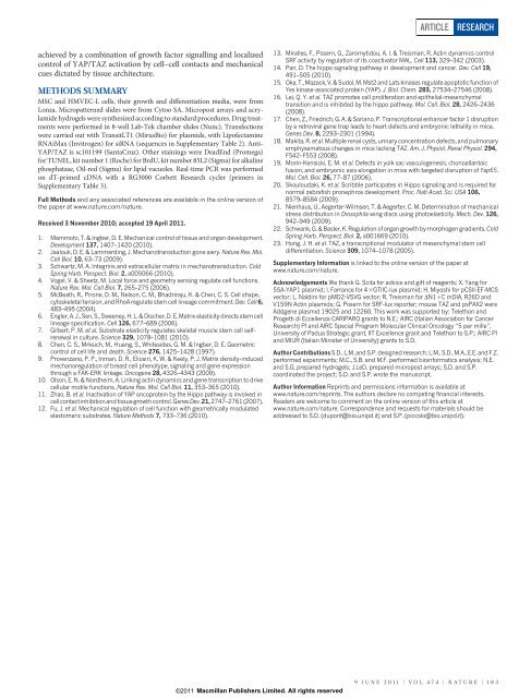 Role of YAP/TAZ in mechanotransduction