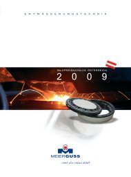 BILDPREISKATALOG 2009 Entwässerungstechnik - Meierguss