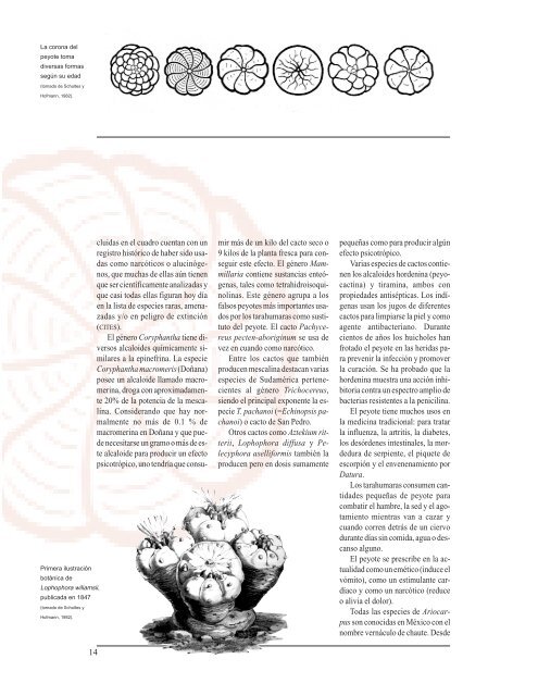 Representación mítica f