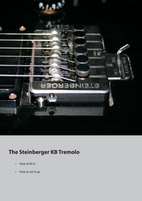Steinberger kb tremolo deals