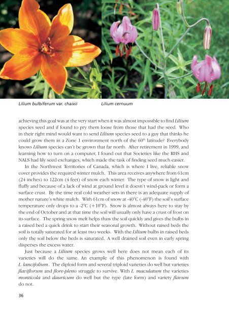 Lilies and Related Plants - RHS Lily Group