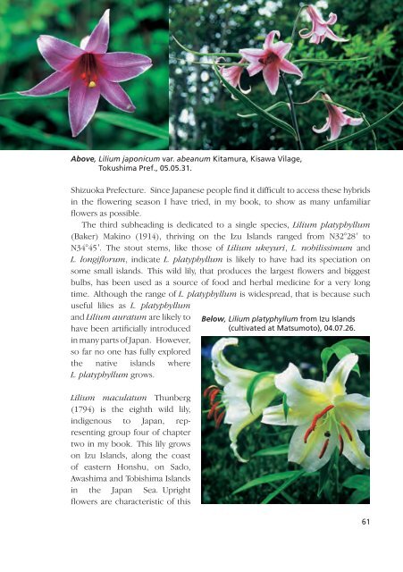 Lilies and Related Plants - RHS Lily Group