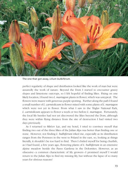 Lilies and Related Plants - RHS Lily Group