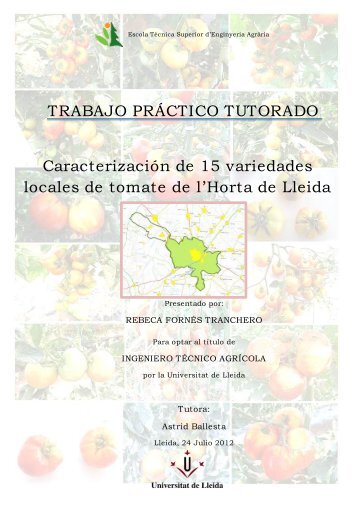 Caracterización de 15 variedades locales de tomate de l‟Horta de ...