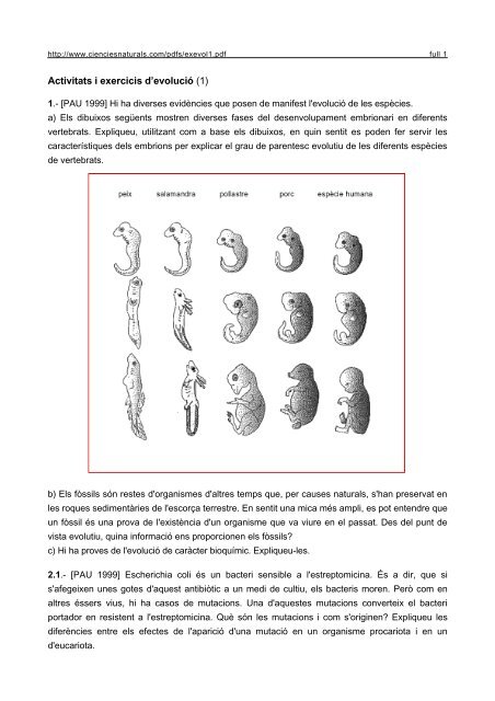 Activitats i exercicis d'evolució (1)