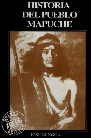 Historia del pueblo mapuche