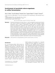 Involvement of pectolytic micro-organisms in coffee fermentation