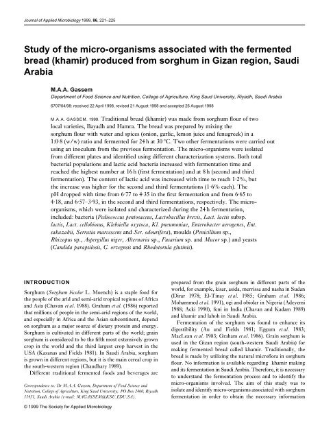 (khamir) produced from sorghum in Gizan region, Saudi Arabia