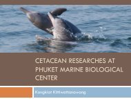 Cetacean researches at Phuket Marine Biological Center - fisheries ...
