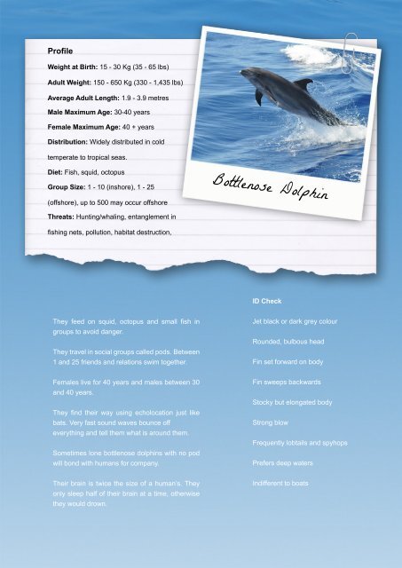 Download our induction pack here - Atlantic Whale Foundation