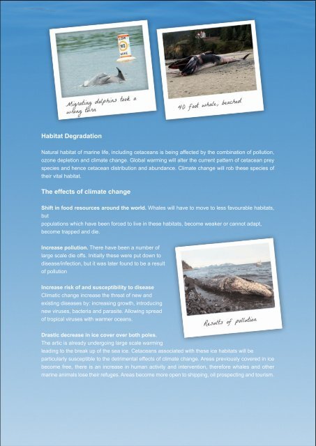 Download our induction pack here - Atlantic Whale Foundation