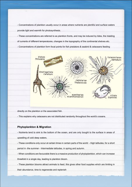 Download our induction pack here - Atlantic Whale Foundation