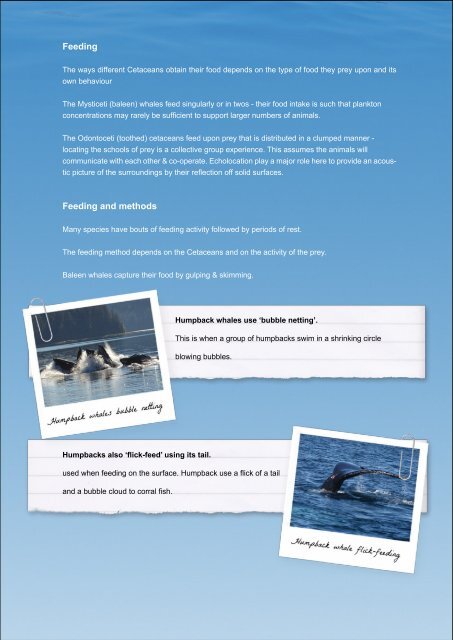 Download our induction pack here - Atlantic Whale Foundation