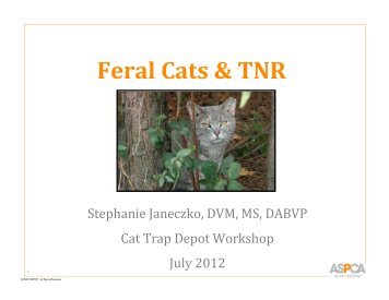 Feral Cats & TNR - Petco