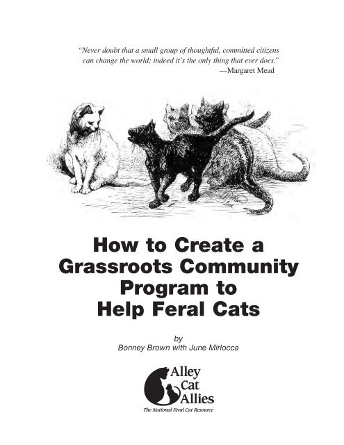 How to Create a Grassroots Community Program to Help Feral Cats