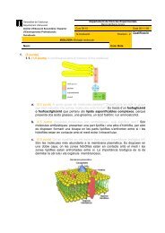 Biologia 1r Batx 09-10 examen 2 - Institut Guindàvols