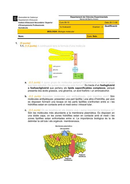 Biologia 1r Batx 09-10 examen 2 - Institut Guindàvols