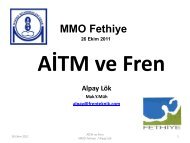 AİTM ve FREN 26.10.2011 - Fethiye MMO - Frenteknik