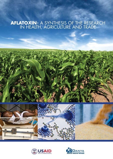 Aflatoxin: A Synthesis of the Research in Health, Agriculture and Trade