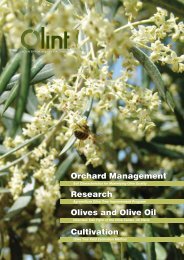 Olive Tree Yield Estimation Method - Olint