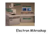 Electron Mikroskop