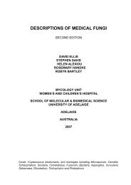 DESCRIPTIONS OF MEDICAL FUNGI