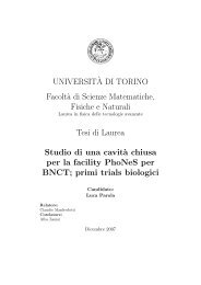 a di Scienze Matematiche, Fisiche e Naturali Tesi di ... - Edu.ph.unito.it