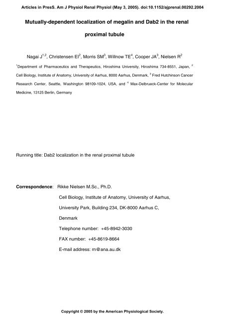 Mutually-dependent localization of megalin and ... - Renal Physiology