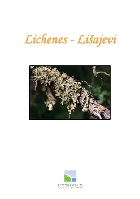 Lišajevi (Lichenes)