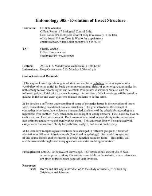 Entomology 305 - Evolution of Insect Structure - Department of ...