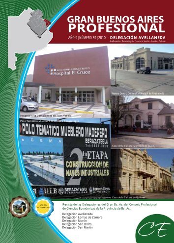 GBA Profesional N° 39 - CPBA