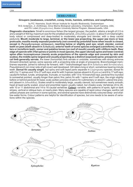 seabasses, creolefish, coney, hinds, hamlets