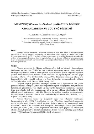 MENENGİÇ (Pistacia terebinthus L - Anadolu Üniversitesi