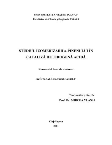 rezumat - Institutul de Studii Doctorale