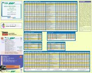 telefono 800.915303CHIAMATA GRATUITA - SAF