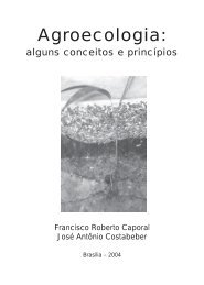 Agroecologia: alguns conceitos e princípios