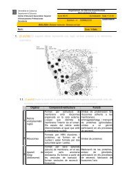 Biologia 1r Batx 09-10 examen 4 - Institut Guindàvols