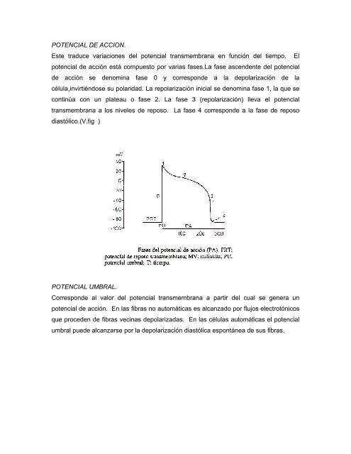 Arritmias