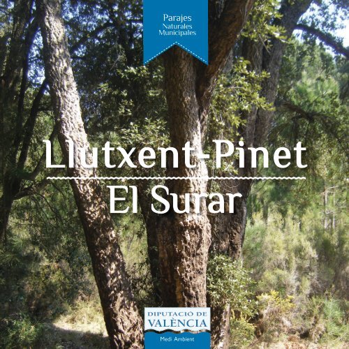 Llutxent-Pinet El Surar