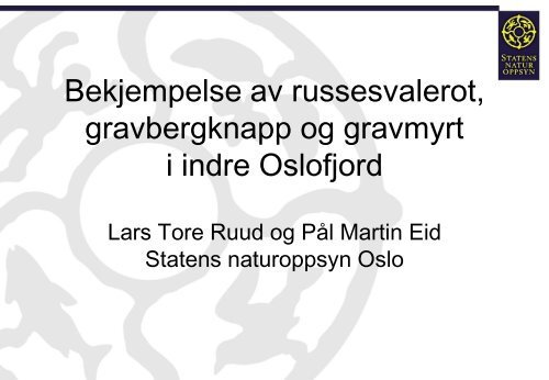 Bekjempelse av gravbergknapp og russesvalerot i Oslo og Akershus.