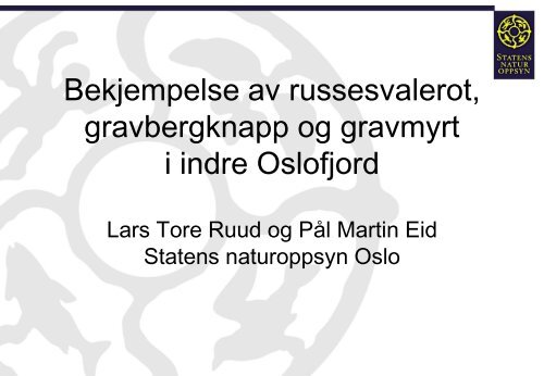 Bekjempelse av gravbergknapp og russesvalerot i Oslo og Akershus.