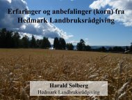 HEDMARK LR, Harald Solberg 2013