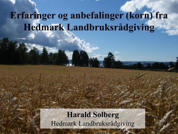 HEDMARK LR, Harald Solberg 2013