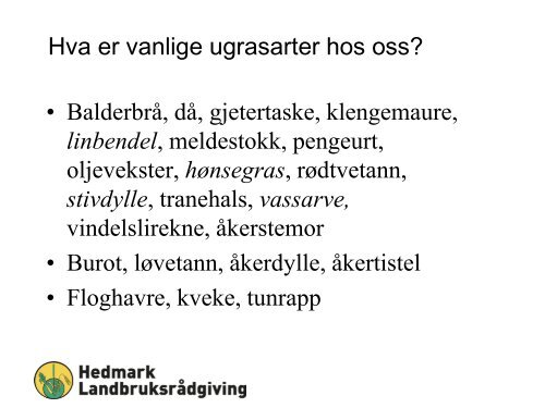HEDMARK LR, Harald Solberg 2013