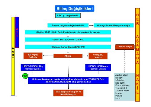 Hastane Öncesi Acil Tıbbi Yardım ve Bakım Akış