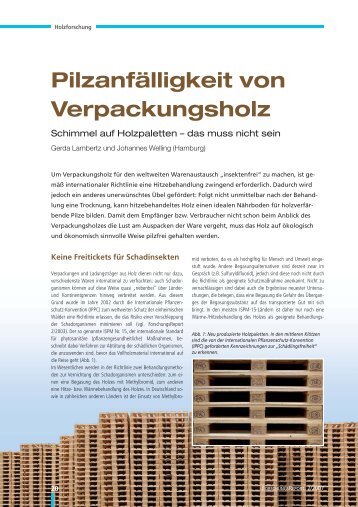 Pilzanfälligkeit von Verpackungsholz - Schimmel auf Holzpaletten ...