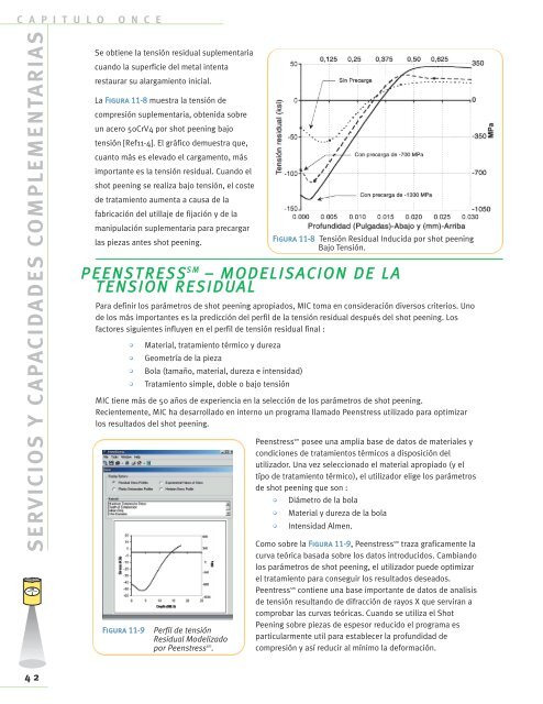 Capitulo 11 - Servicios y Capacidades Complementarias.pdf - Metal ...