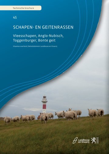 schapen en geitenrassen - Landbouw en Visserij - Vlaanderen.be