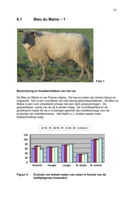 schapen en geitenrassen - Landbouw en Visserij - Vlaanderen.be